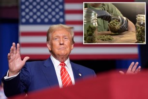 Donald Trump in front of a flag; budtender pulling of cannabis in front of a jar.