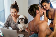 Attractive young female freelancer working on laptop from her home and having her pet dog in her lap to keep her company.