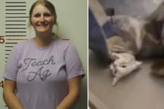 Teacher has students staple cat’s incision — while it’s awake and screaming in pain: ‘Deeply troubling’