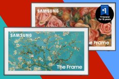 A frame TV with flowers and a picture of a tree