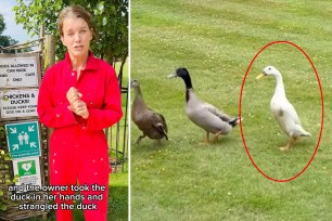 Lady Julie Montagu, the Viscountess Hinchingbrooke, Quackers the duck