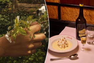 A hand holding a branch with leaves over a plate of dessert, symbolizing New York's various cultural events and openings.