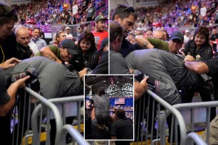 A collage of people in a stadium, featuring celebrity Luisa Pastor Lillo.