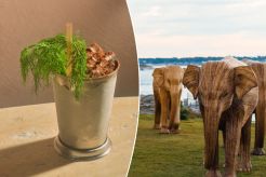 A bucket of ice cream next to two elephant statues